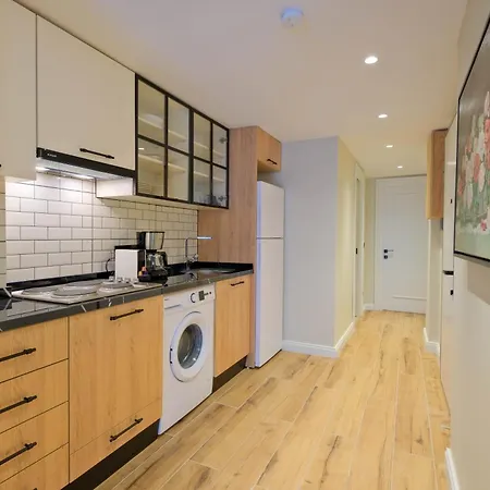 公寓 Maison 70 - New Renovated Luxury Residences 伊斯坦布尔