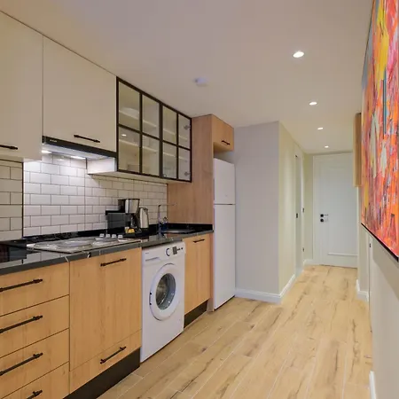 公寓 Maison 70 - New Renovated Luxury Residences 伊斯坦布尔